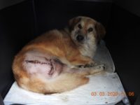 89597235_3578137968925400_8467843523771629568_o