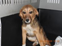 89933584_3590531017686095_8138960569198706688_o