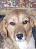 90137738_3612710598801470_7856311541702852608_o