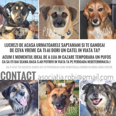 90234365_3615136231892240_5725793671652048896_n