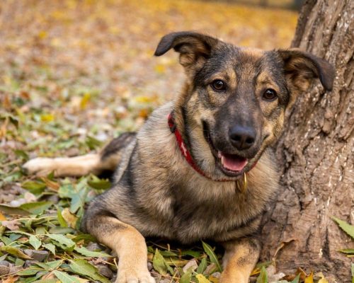 271697620_6762630353809463_2975502528753562322_n