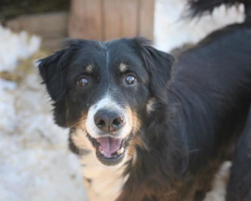 84862012_3501945206544677_1412015312248766464_n