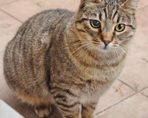 91077640_3659563204116209_4488675165772709888_o