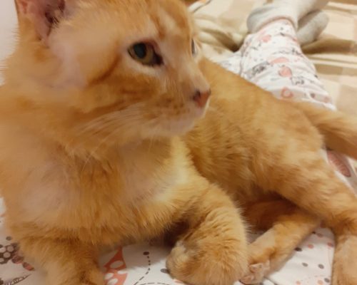 WhatsApp Image 2021-04-09 at 22.18.04 (2)